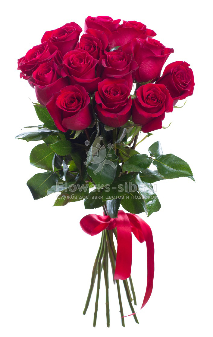 BOUQUET OF 15 ROSES